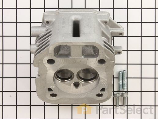 9927688-1-M-Kohler-24318105-S-Head, Assembly Cylinder #1