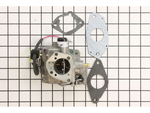 9928727-1-M-Kohler-2485333-S-Kit: Carburetor W/gaskets-ksf