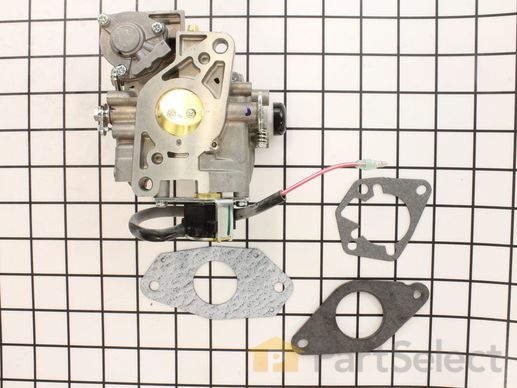 9928741-1-M-Kohler-2485358-S-Kit, Carburetor W/Gaskets