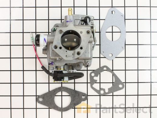 9928755-1-M-Kohler-2485393-S-Kit, Carburetor W/Gaskets