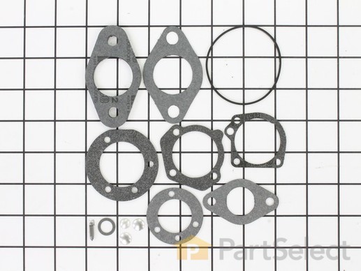 9930474-1-M-Kohler-2575711-S-Kit, Carburetor Repair
