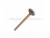 Valve: Intake – Part Number: 2801701-S