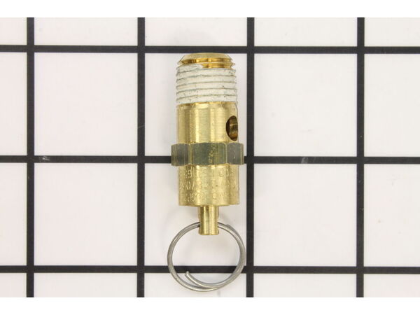 9937424-1-M-Ridgid-30543-Safety Valve-200Psi