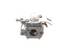 Carburetor Assembly – Part Number: 308054007