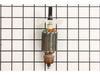 Armature 230V – Part Number: 310902