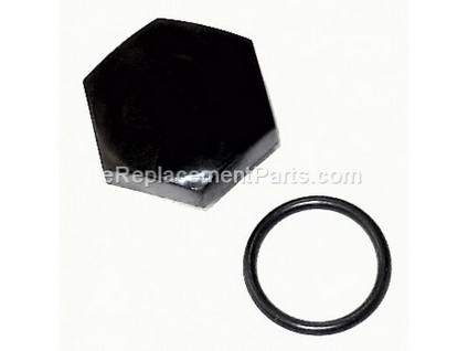 9939460-1-M-Ridgid-310923001-Drain Plug