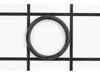 Drain Plug W/O-Ring – Part Number: 310923002