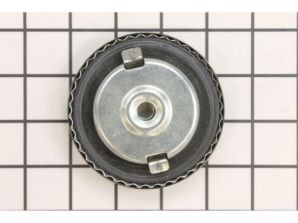 9939896-1-M-Briggs and Stratton-311513GS-Cap, Fuel