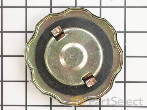 9939955-1-M-Briggs and Stratton-311990GS-Cap, Fuel