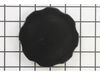 Cap, Fuel – Part Number: 316670GS