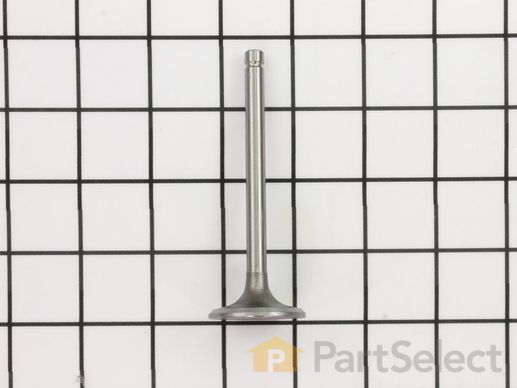 9942084-1-M-Kohler-3201701-S-Valve: Intake