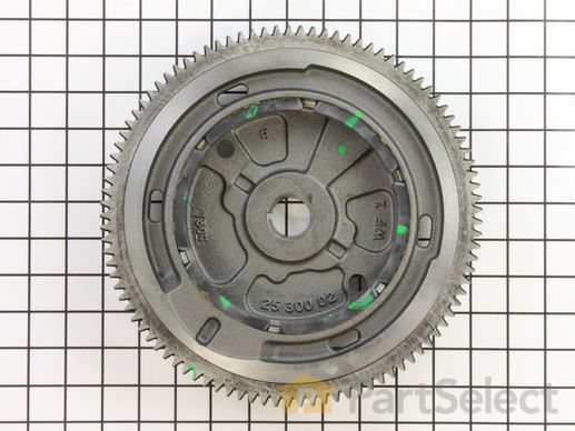 9942093-1-M-Kohler-3202521-S-Flywheel Assembly