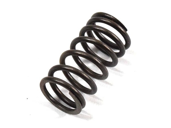 9944276-1-M-Craftsman-33507-Valve Spring