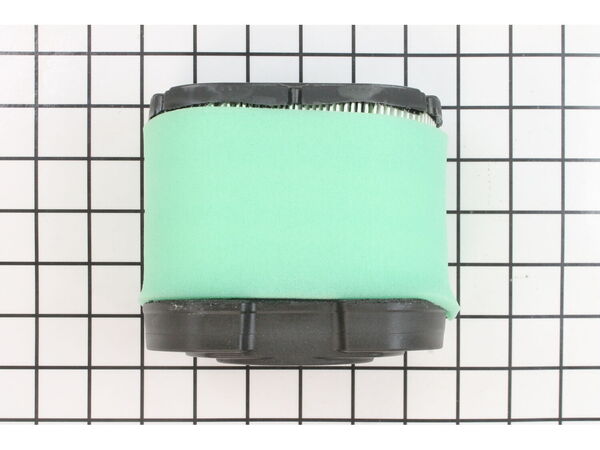 9952689-1-M-Craftsman-4163205-Complete Air Filter