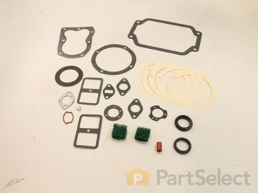 9952815-1-M-Kohler-4175517-S-Kit: Overhaul