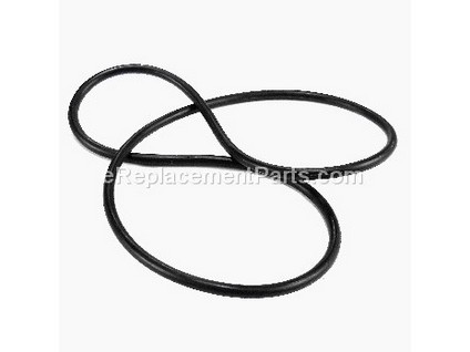9954613-1-M-Homelite-43273-O-ring