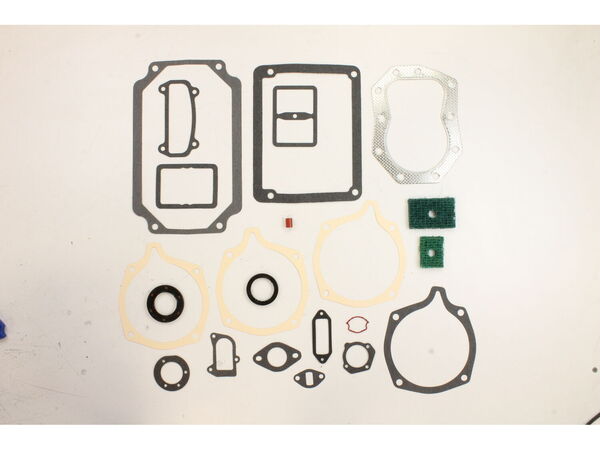 9956212-1-M-Kohler-4575504-S-Kit: Overhaul