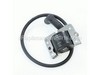Module: Ignition – Part Number: 4758403-S
