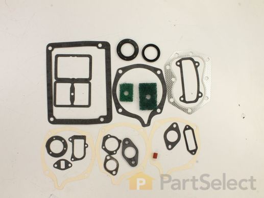 9957690-1-M-Kohler-4775508-S-Kit: Overhaul