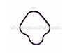 Profile Gasket – Part Number: 5.365-174.0