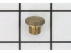 Screw Plug – Part Number: 5.411-070.0