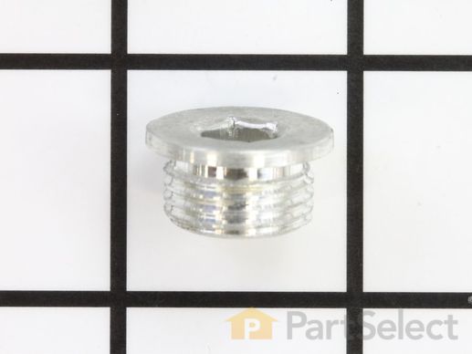 9964091-1-M-DeWALT-5140117-30-Crankcase Plug