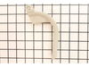 Trigger – Part Number: 518256003