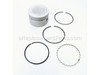 Kit: Piston W/ring Set Std – Part Number: 5287411-S