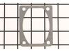 Cylinder Gasket – Part Number: 530019001
