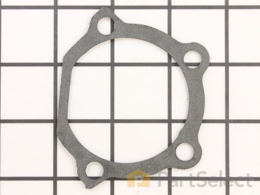 9967746-1-M-Paramount-530019166-Gasket