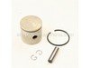Piston Kit – Part Number: 530069899