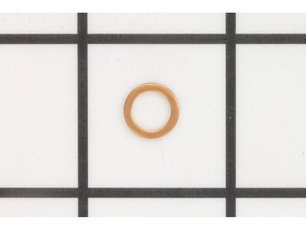 9975440-1-M-Bluebird-539006047-Safety Valve Gasket