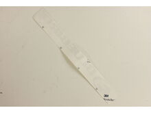 Decal W/logo 15.5 – Part Number: 539008338