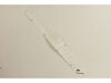Decal W/logo 15.5 – Part Number: 539008338