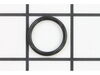 O-Ring (Plug) – Part Number: 570742007