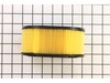Air Filter – Part Number: 578120701