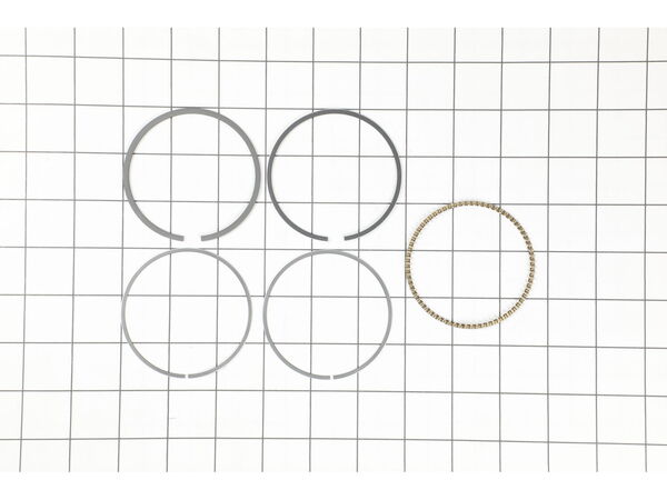 9983411-1-M-Briggs and Stratton-591452-Ring Set