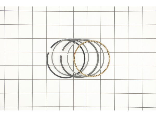 9983426-1-M-Briggs and Stratton-591552-Ring Set-020