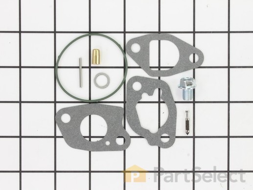 9983494-1-M-Briggs and Stratton-591770-Kit-Carb Overhaul