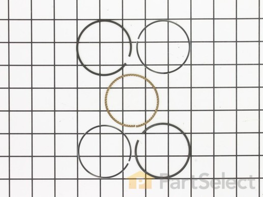 9983522-1-M-Briggs and Stratton-591976-Ring Set