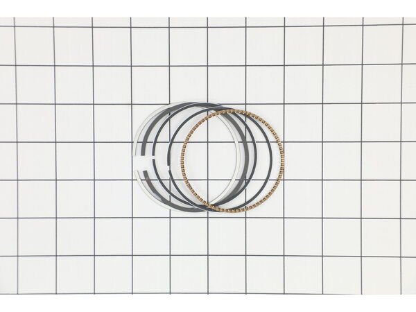 9983862-1-M-Briggs and Stratton-592957-Ring Set