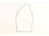 Gasket: Oil Pan – Part Number: 6204121-S