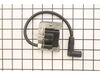 Module, Ignition – Part Number: 6258404-S