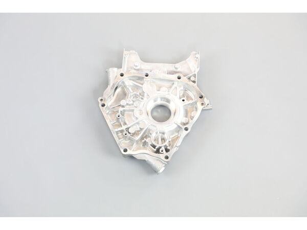 9986475-1-M-Kohler-6300912-S-Closure Plate