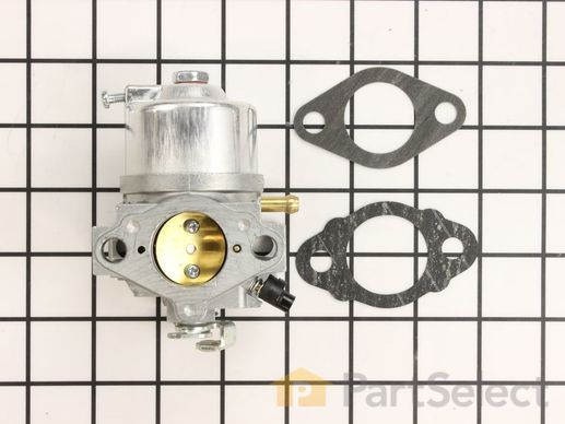 9987862-1-M-Kohler-6385301-S-Kit: Carburetor W/gaskets
