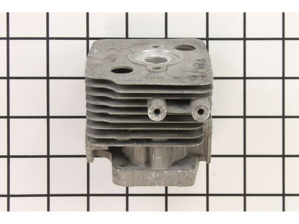 9988239-1-M-Homelite-640570016-Cylinder