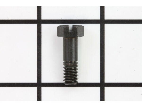 9989558-1-M-Homelite-660880001-Screw (1/4-20, Special)