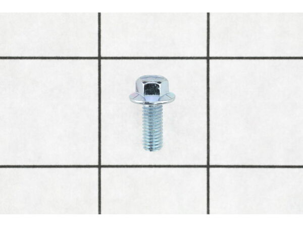 9989621-1-M-Homelite-660938025-Bolt (M5 X 10 Mm)