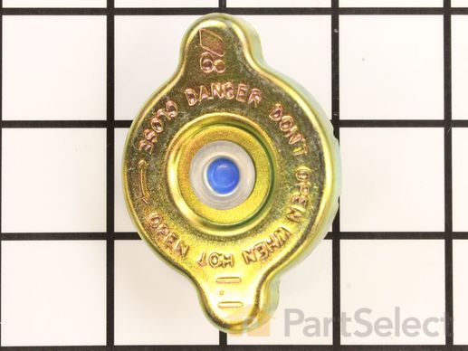 9989894-1-M-Kohler-6617309-S-Cap, Radiator