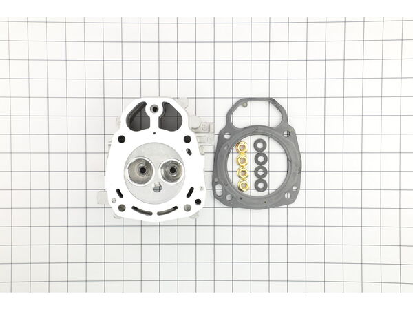 9989996-1-M-Kohler-6631830-S-Kit: Cylinder Head (#2 Side)